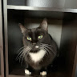 Meet your Posher, Delia